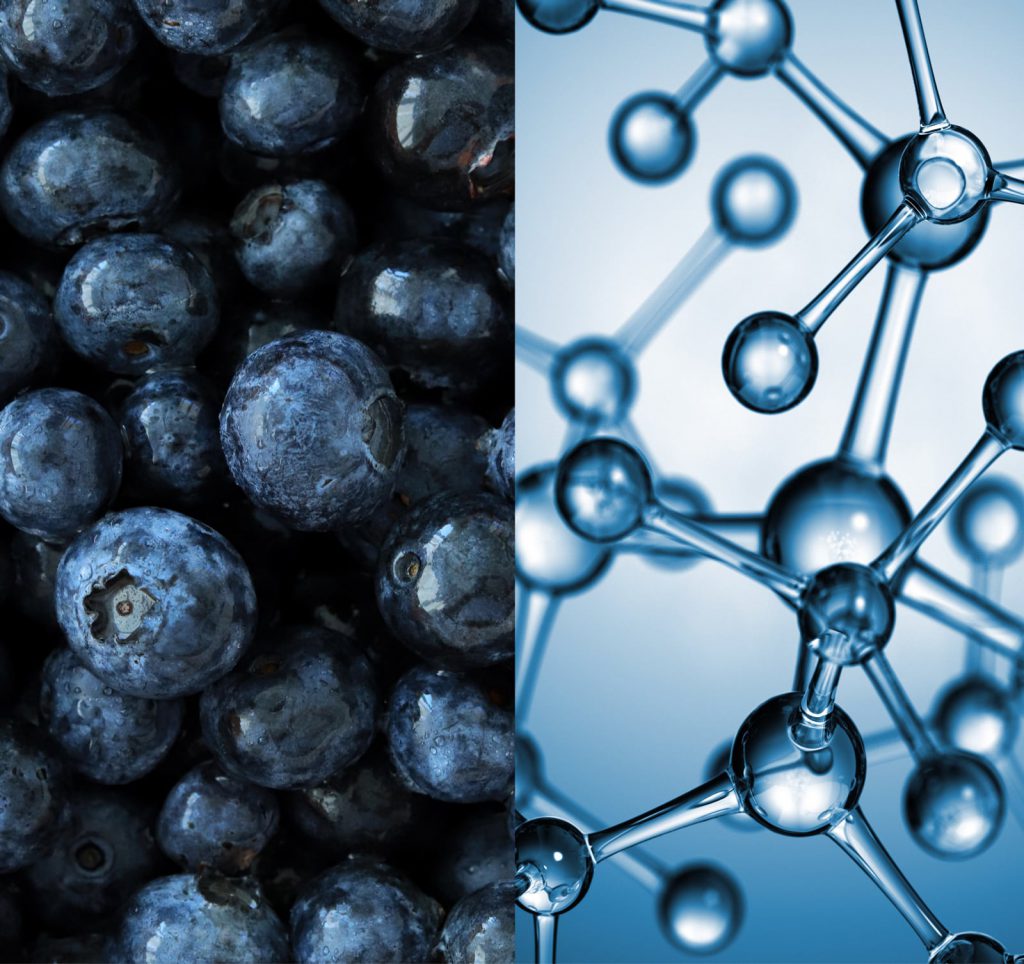 Blueberries and molecules